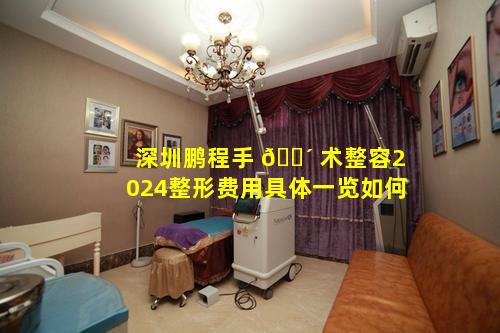 深圳鹏程手 🌴 术整容2024整形费用具体一览如何